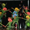 Cheerleader_Erolzheim_7431