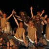 Wilde_Huehner_7420