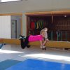 DSC00071